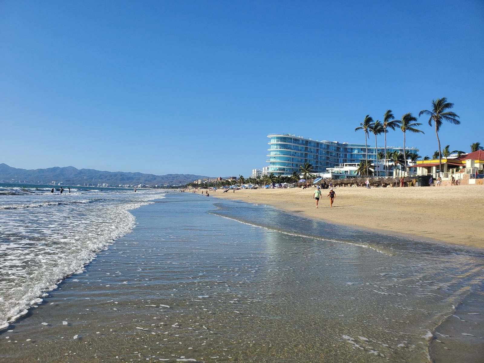 Beach lined with palms and gentle waves