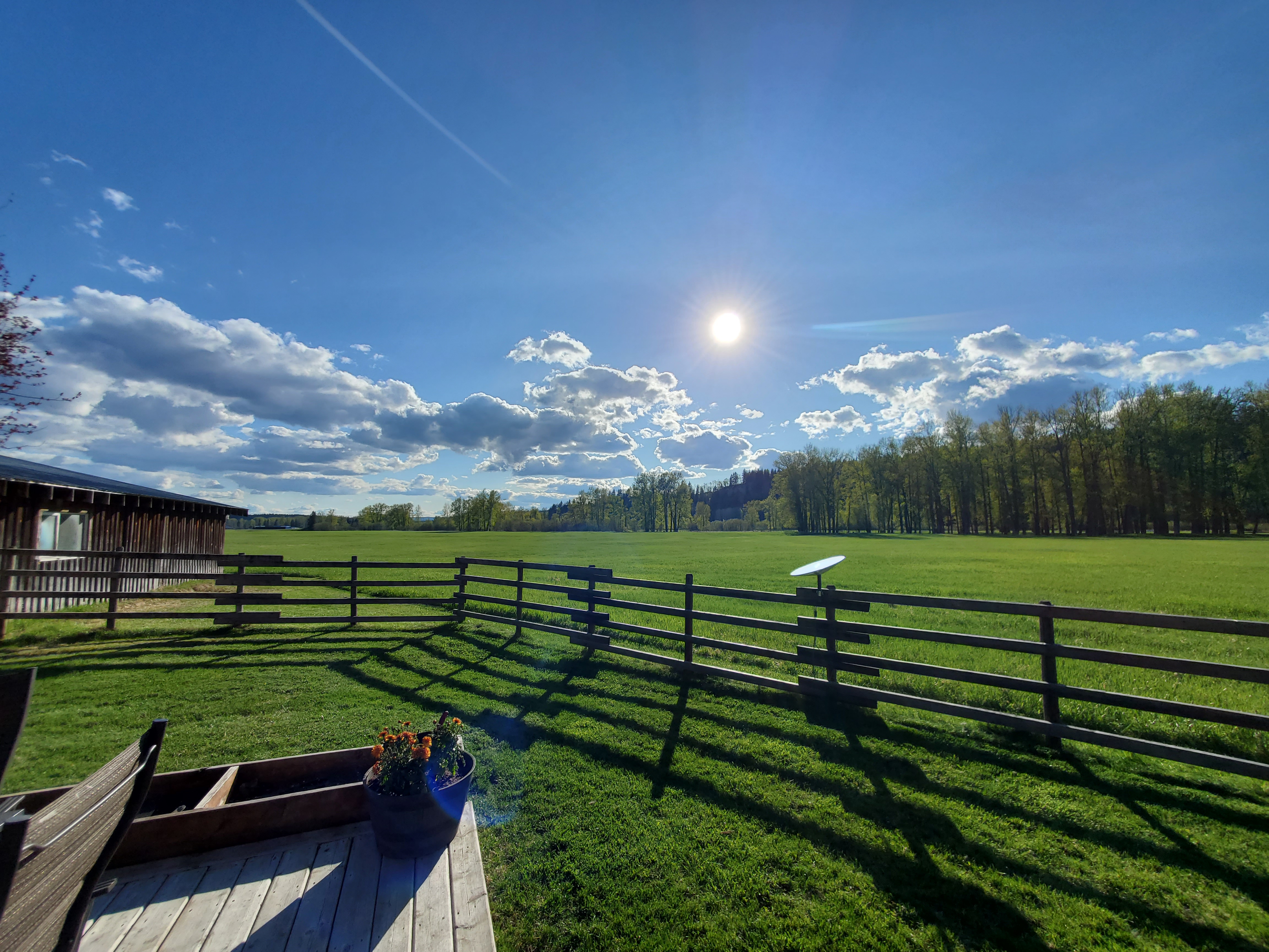 The family cattle ranch in British Columbia